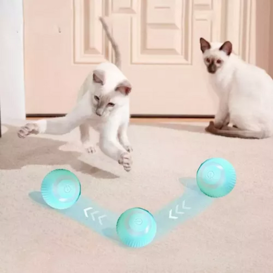 Juguete Pelota Interactiva Gatos Usb